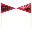 Grad Party Picks - Red, 36ct For Discount